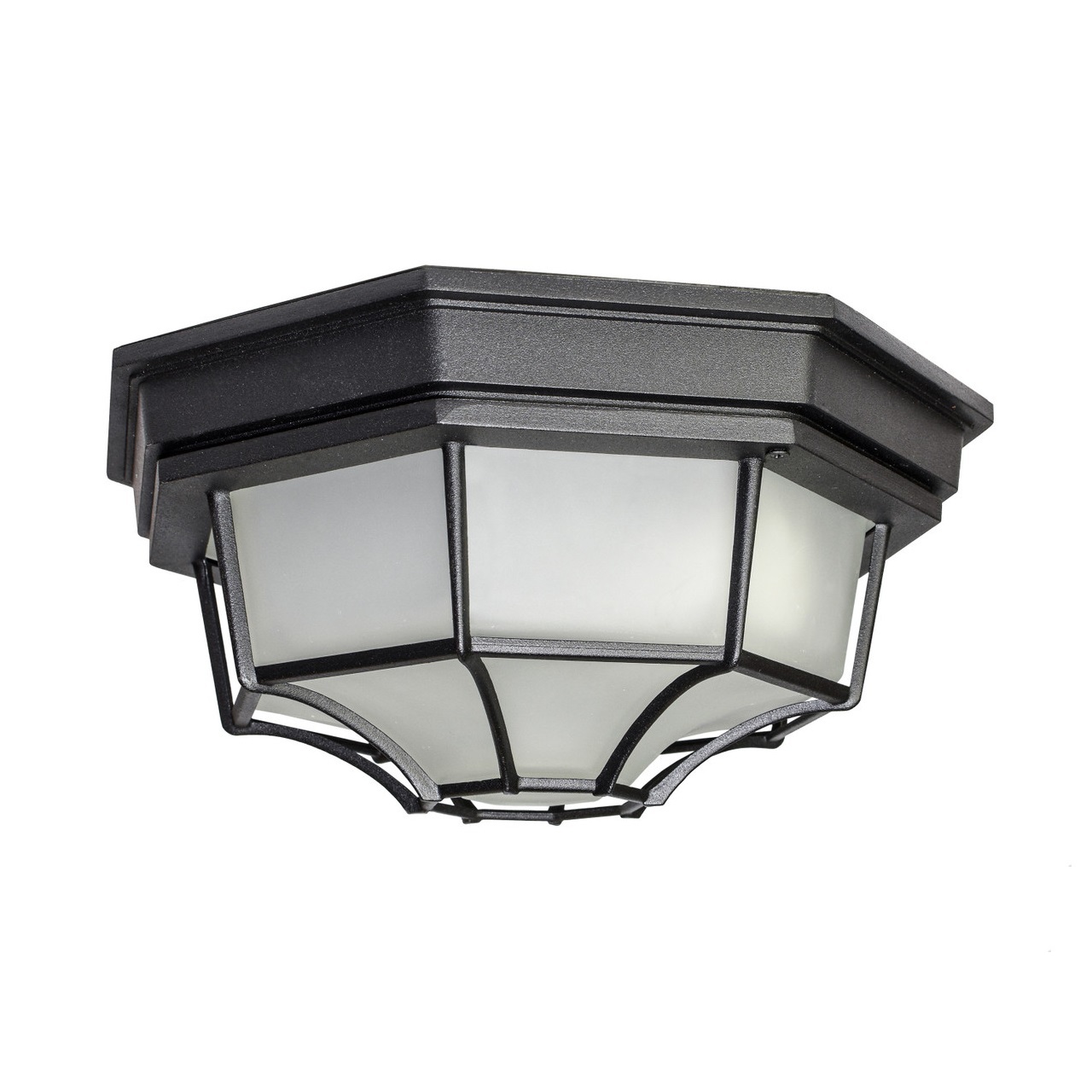 Outdoor Ceiling Lights